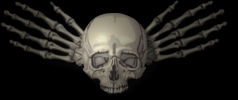 skeleton7.jpg